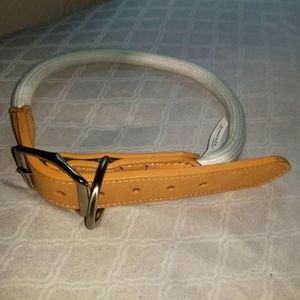 Brand new dog collar
